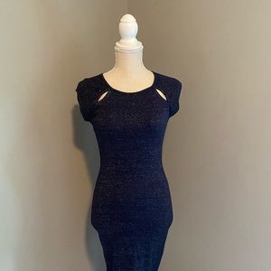 Express Dress